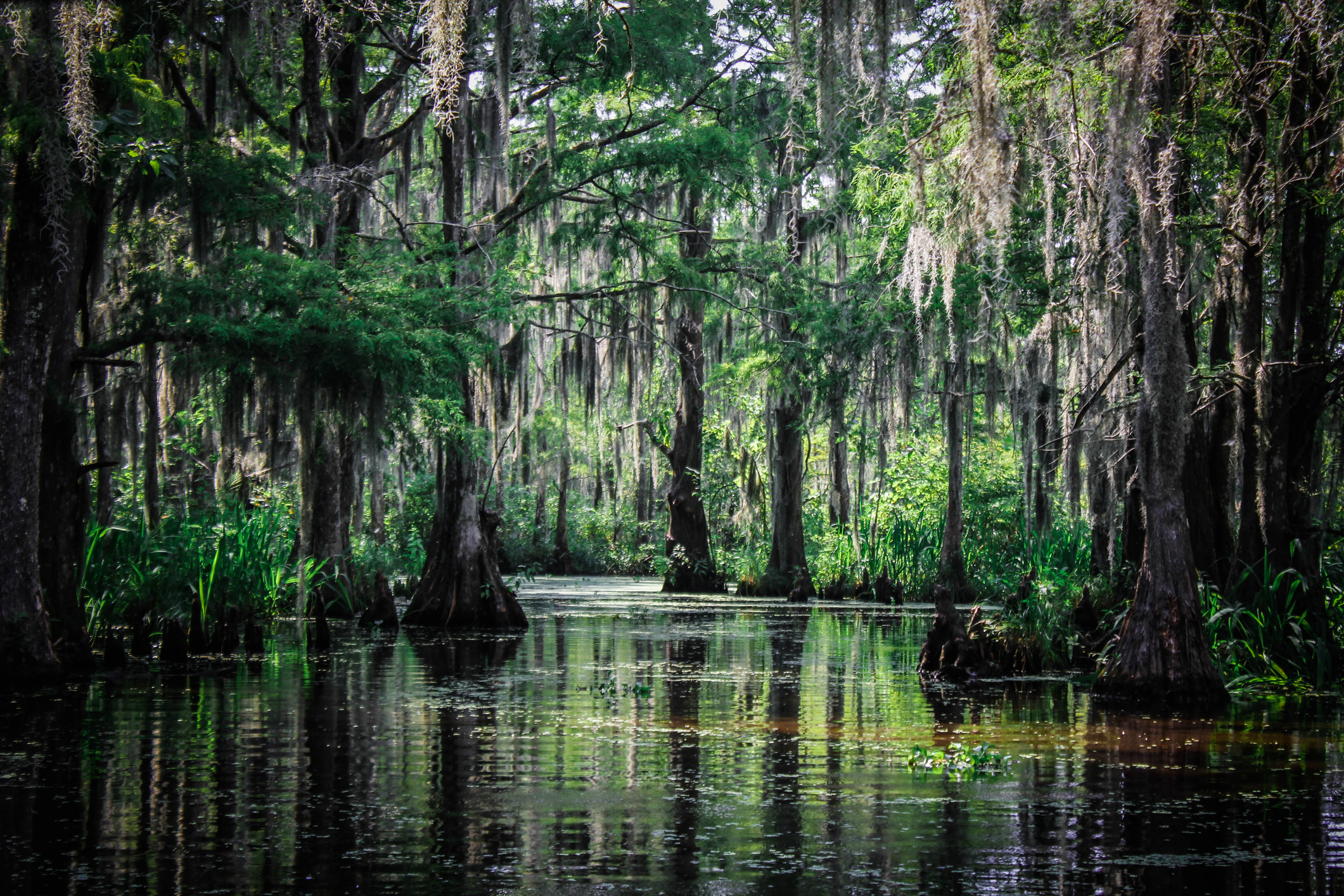 swamp-thing-louisiana-swamp-offers-warning-in-new-teaser-poster